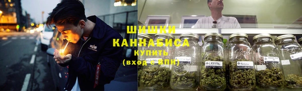 гидра Белокуриха