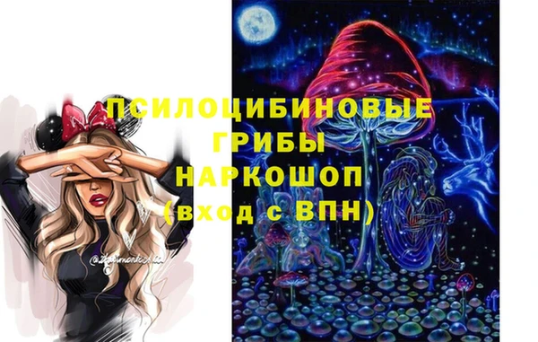 гидра Белокуриха