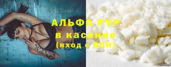 гидра Белокуриха