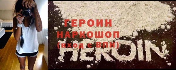 стаф Ельня