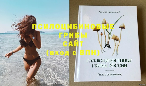 эйфоретик Беломорск