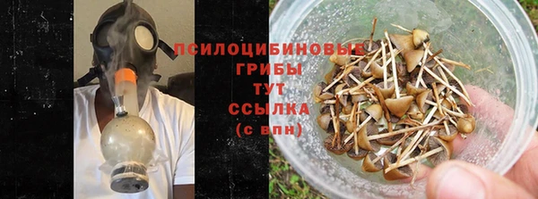эйфоретик Беломорск