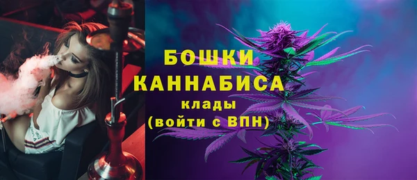 гидра Белокуриха