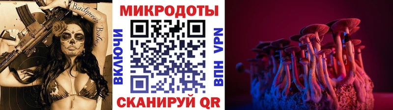 Галлюциногенные грибы Psilocybe  как найти наркотики  Макаров 